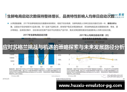 应对苏格兰挑战与机遇的策略探索与未来发展路径分析