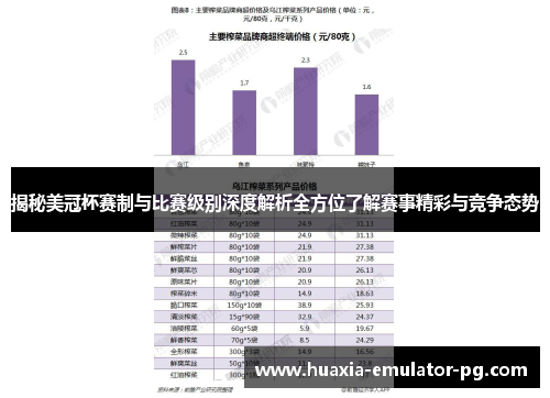 揭秘美冠杯赛制与比赛级别深度解析全方位了解赛事精彩与竞争态势