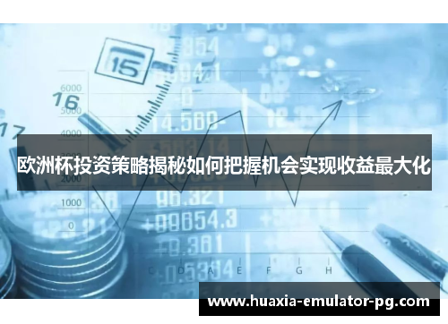 欧洲杯投资策略揭秘如何把握机会实现收益最大化